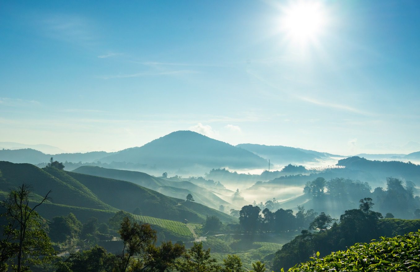 The UNESCO Sultan Qaboos Prize for Environmental Conservation is a biennial award